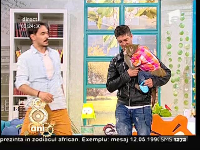 Nu s-au &icirc;nțeles de nicio culoare! Răzvan, speriat de maimuțica Marcelino: &rdquo;Uite, cum m-a văzut, și-a mușcat m&acirc;na&rdquo;