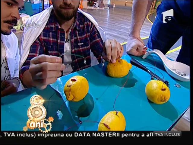 Dom' profesor, fizician, doctor, docent: "A se aprinde sau a nu se aprinde ledul?", aceasta-i &icirc;ntrebarea! Bateria din lăm&acirc;i, provocarea de la &rdquo;Neatza"