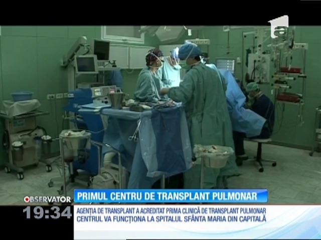 Transplant de plăm&acirc;ni, de la vară și &icirc;n Rom&acirc;nia
