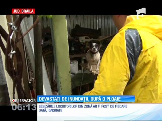 Ploile torenţiale au distrus mai multe case şi grădini, &icirc;n judeţele Brăila, Tulcea şi Constanţa. Oamenii s-au trezit cu apa p&acirc;nă la ferestre