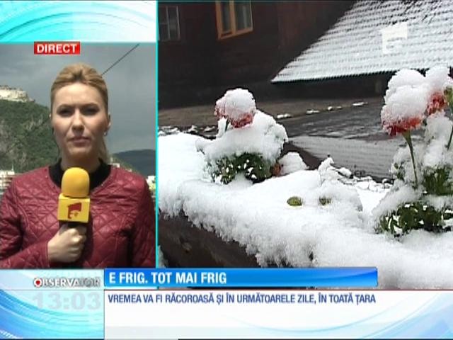 Temperaturile pentru sudul ţării răm&acirc;n mai scăzute dec&acirc;t &icirc;n mod normal pentru această perioadă a anului