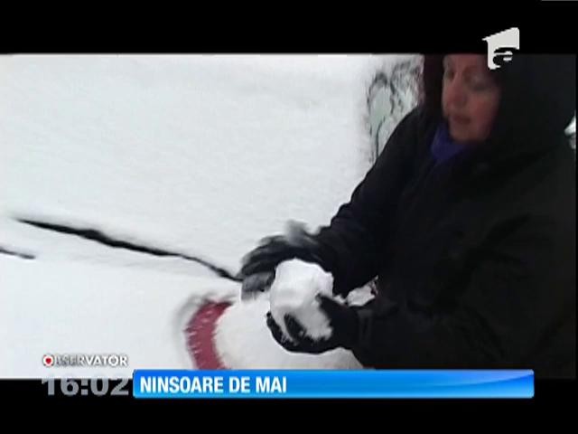 Ninsoare de mai. Şi &icirc;n următoarele zile, temperaturile răm&acirc;n mai scăzute dec&acirc;t &icirc;n mod normal