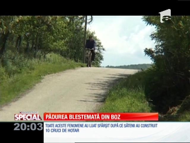 Special! Pădurea b&acirc;ntuită din Boz