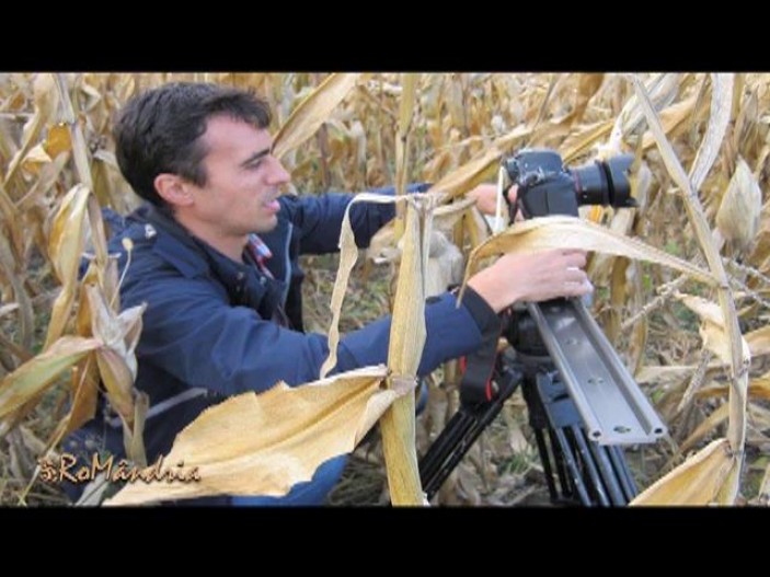 making_off Romandria