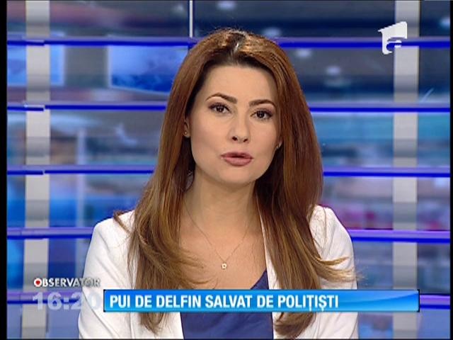 Poliţiştii Serviciului "Delta Dunării" au salvat un pui de delfin prins &icirc;n plasele de pescuit ale braconierilor