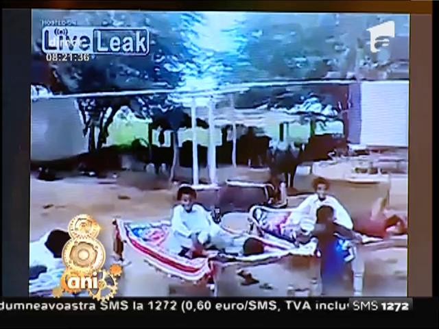 Smiley News: Sistemul de aer condiționat &icirc;n Pakistan, cu ajutorul măgarului!