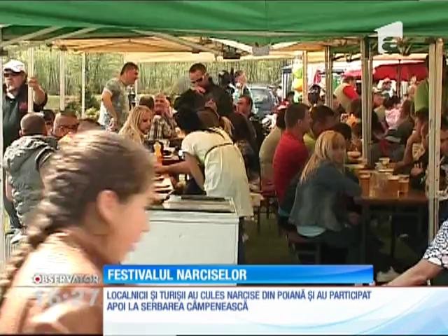 Festivalul Narciselor a fost organizat la Dealu, &icirc;n judeţul Harghita