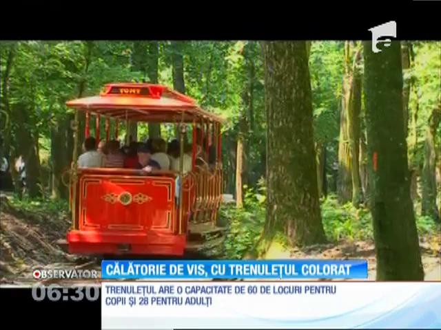 Trenuleţul Tomy este noua atracţie a copiilor la T&acirc;rgu Mureş