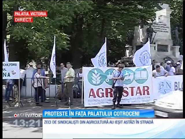 Zeci de sindicaliști din agricultură au ieșit &icirc;n stradă