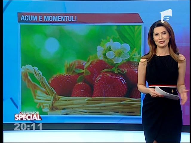 SPECIAL! Lenuţa, Angelica şi căpşunile minune