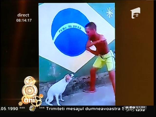 Smiley News: El este c&acirc;inele care cu siguranţă dansează samba mai bine ca tine