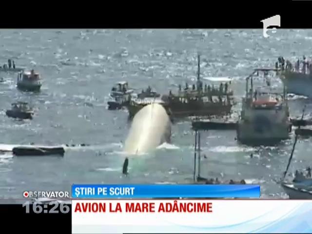 Avion Airbus A300, scufundat &icirc;n Marea Egee