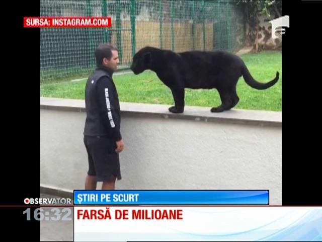 Farsă de milioane