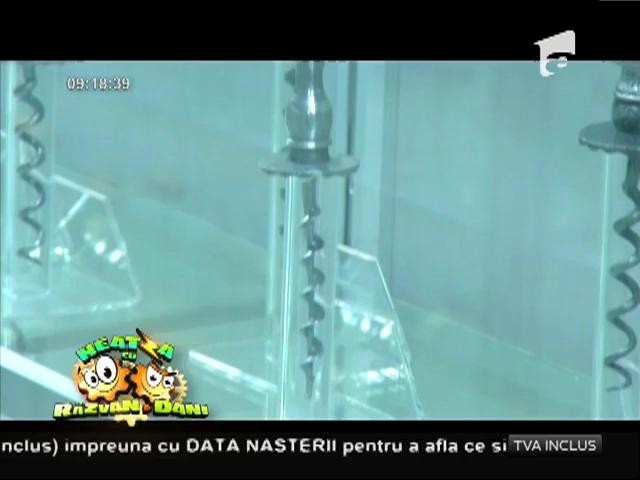 Sanctuarul tirbușoanelor: cea mai mare colecţie din lume e la București