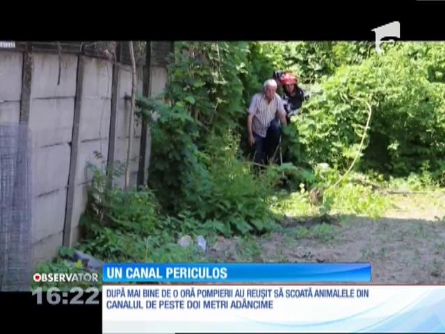 Canal periculos descoperit &icirc;nainte de tragedie