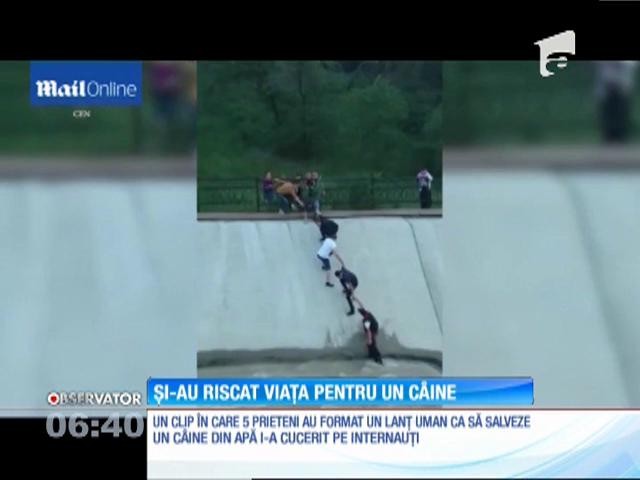 Și-au riscat viața pentru un c&acirc;ine