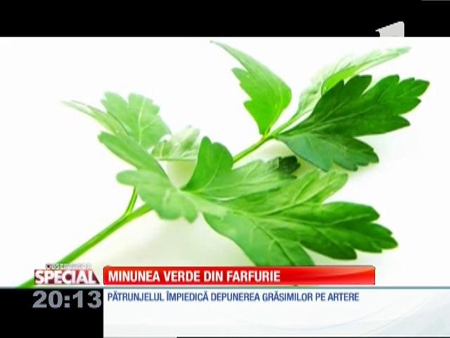 SPECIAL! Pătrunjelul, minunea din farfurie