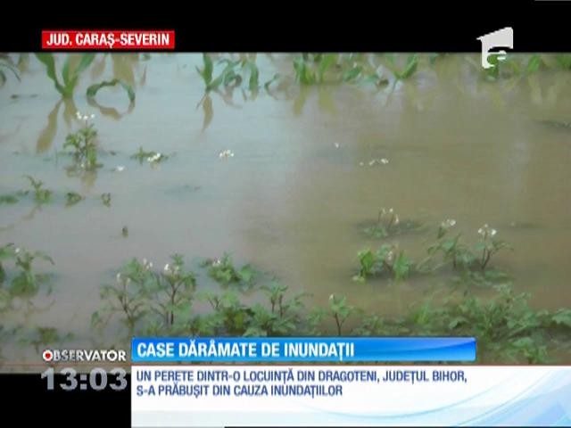 Case dăr&acirc;mate de inundaţii &icirc;n judeţul Bihor