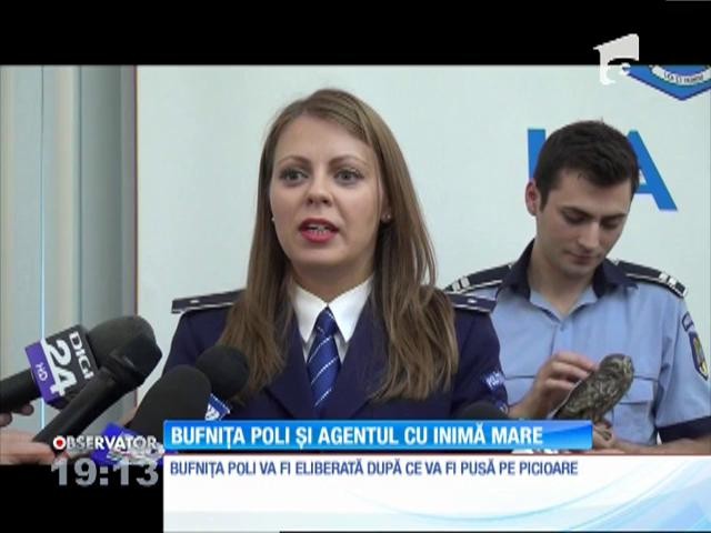 Un pui de bufniţă, cel mai bun prieten al Poliţiei Rom&acirc;ne
