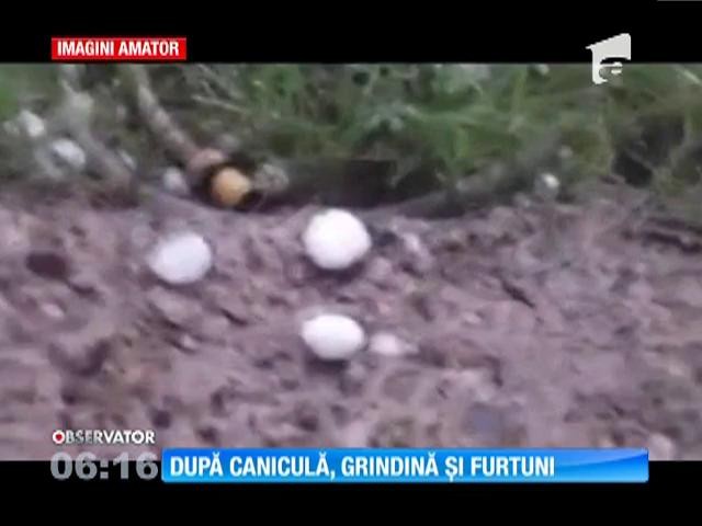 Grindina a &icirc;nspăim&acirc;ntat jumătate de ţară. Bucăţi mari de gheaţă au căzut din nori şi au distrus recolte şi gospodării &icirc;ntregi