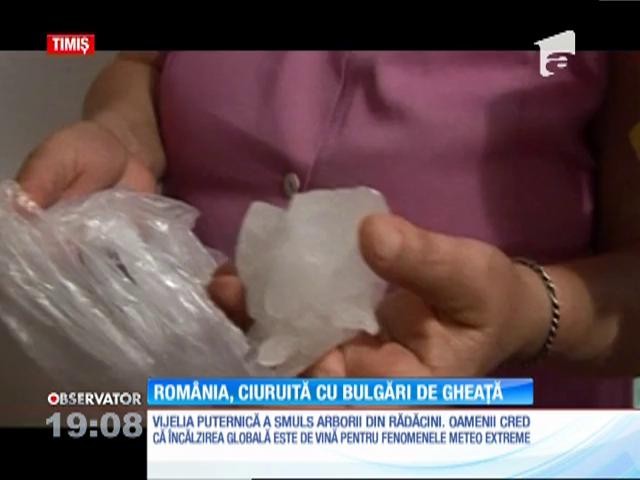 Grindina a distrus mașinile și grădinile oamenilor din Timiș