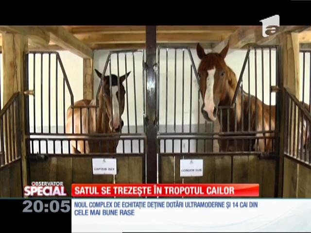 Special! Oamenii din satul Apoș, județul Sibiu, se trezește &icirc;n tropotul cailor