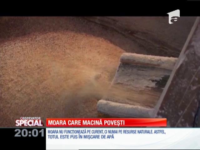 Special! La Geoagiu de Sus există cea mai veche moară funcțională din Rom&acirc;nia