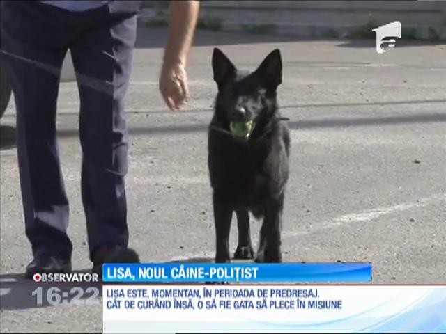 Lisa, noul c&acirc;ine polițist