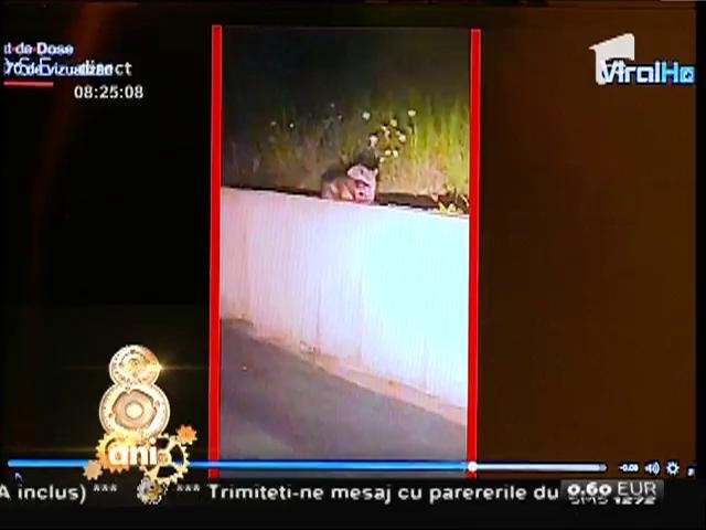 Smiley news: Inundaţii de proporţii &icirc;ntr-un mall din China