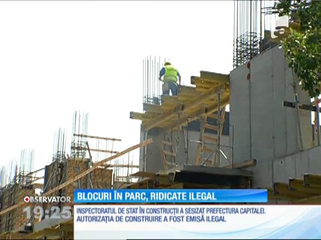 Blocurile de l&acirc;ngă Parcul Tineretului au acte emise ilegal