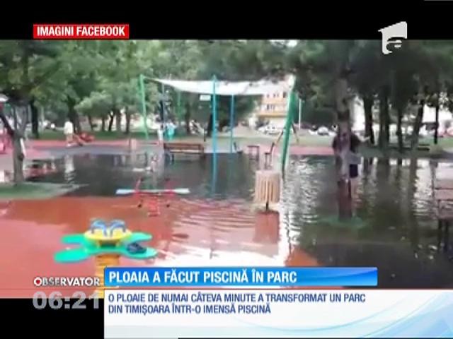 După o scurtă ploaie, un parc din Timişora s-a transformat &icirc;ntr-o mică Veneţie