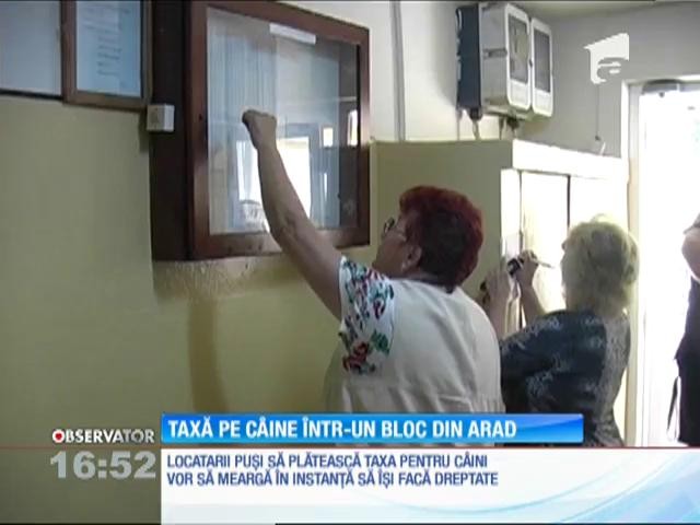 Taxă de c&acirc;ine de 100 de lei pe lună &icirc;ntr-un bloc din Arad