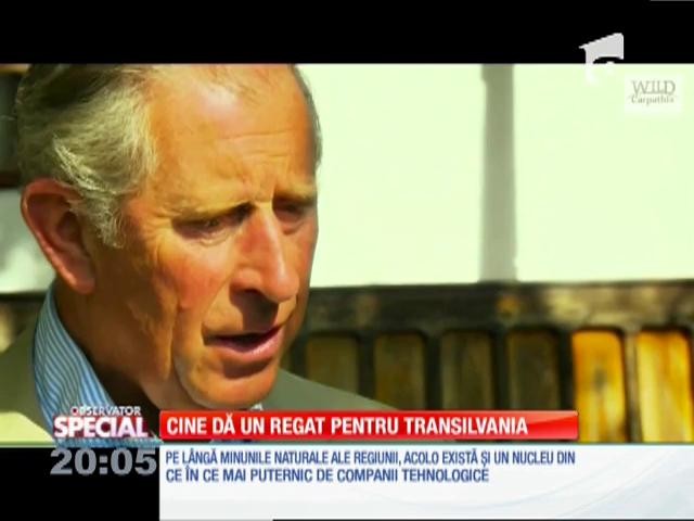 Special! C&acirc;teva motive pentru care britanicii se pot simţi mai bine &icirc;n Transivalia dec&acirc;t la ei acasă