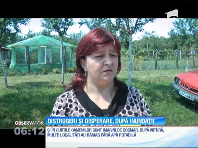 Ploile au făcut prăpăd &icirc;n județul Caraş-Severin! Locuințe inundate și drumuri blocate de ape