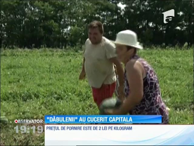 Seceta a redus la jumătate producţia de pepeni de Dăbuleni &icirc;n 2016