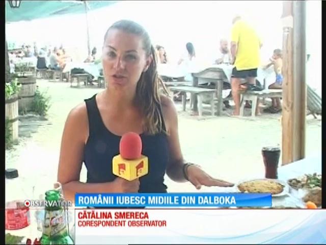 Rom&acirc;nii iubesc midiile din Dalboka