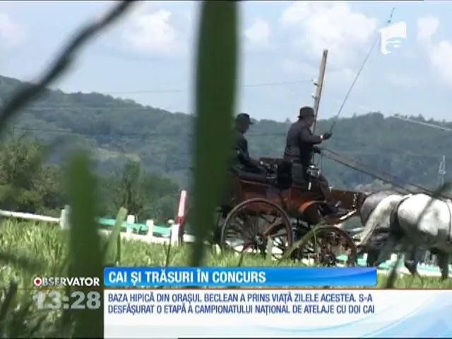 Campionatul Naţional de Atelaje cu doi cai de la baza hipică a hergheliei din Beclean