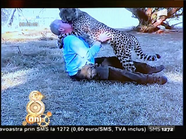 Smiley News: &Icirc;nt&acirc;lnirea după zece luni dintre un ghepard și un om