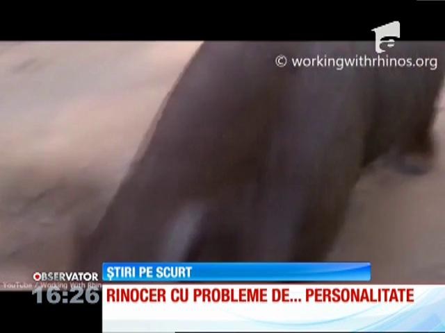 Un pui de rinocer din Africa de Sud se crede câine | Observator News