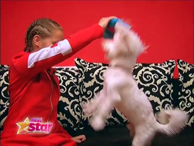 Alexia Lupea, alintată "Căpșunica", e o viitoare steluță!