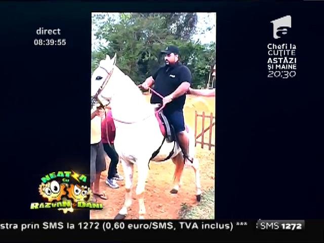 Smiley News: Este at&acirc;t de gras &icirc;nc&acirc;t nici măcar un cal nu poate să &icirc;l susţină!