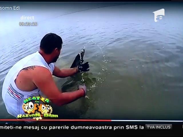 Smiley News: Un pescar din Rom&acirc;nia reuşit să prindă un somn uriaş