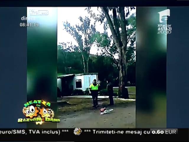 Smiley News: Dorel, specialist &icirc;n tăiat copaci