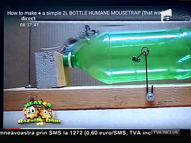 Smiley News: Cea mai ingenioasă capcană de şoareci