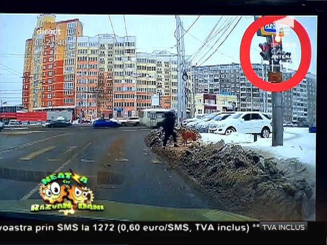 Smiley news: C&acirc;inele rus trece numai pe culoarea verde a semaforului