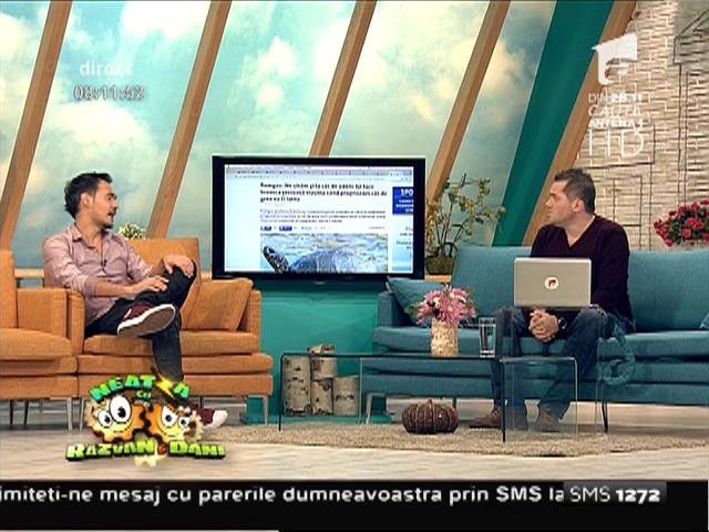 Smiley News: Romgaz prognozează cum va fi iarna cu ajutorul broaștelor țestoase!