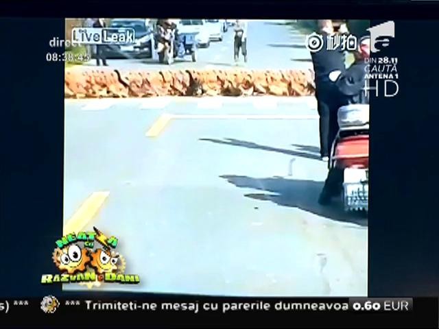 Smiley News: 20.000 de rățuște &icirc;n trafic. Uite cum traversează strada