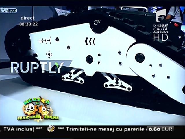 Smiley News: Tacul care prinde muşte şi t&acirc;nţari!