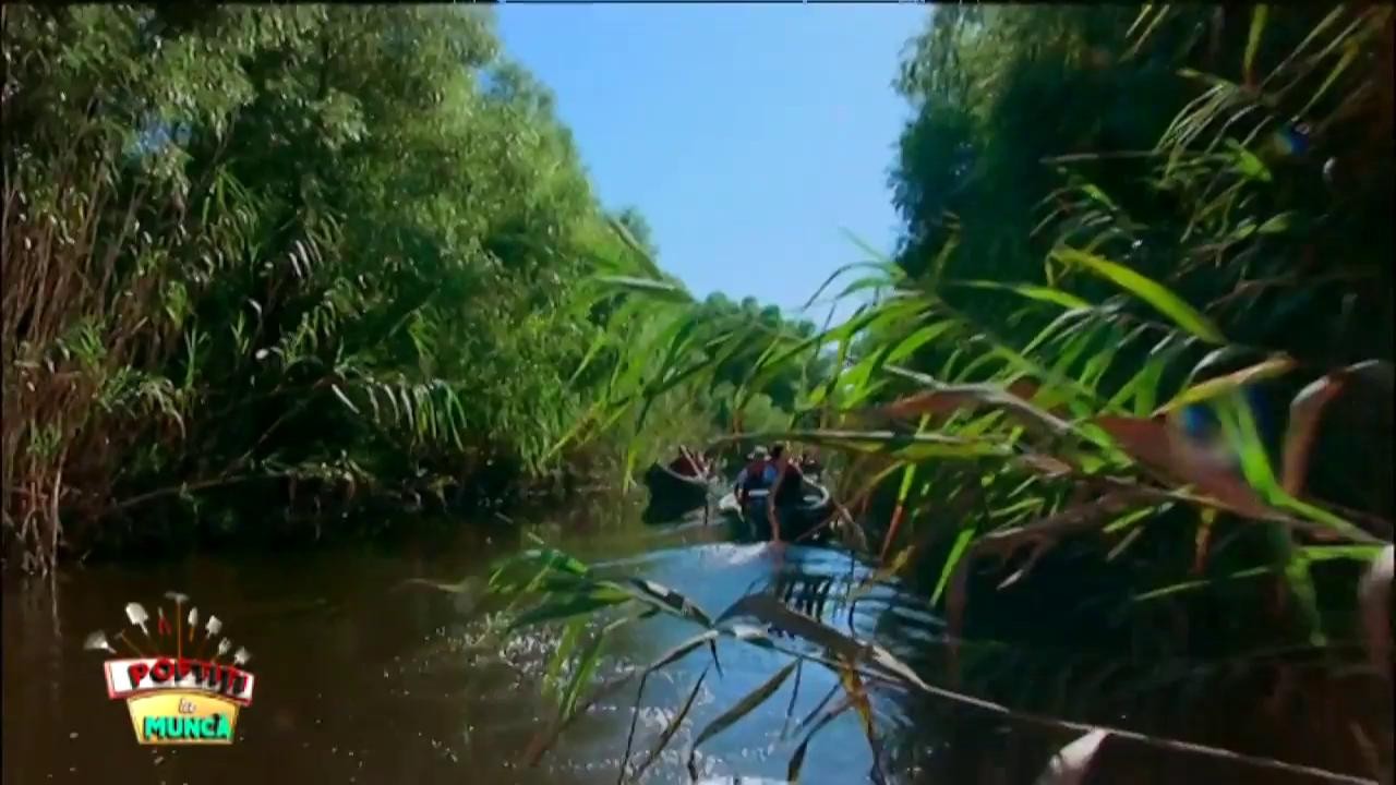 O nouă provocare. Vedetele lui Nea' Mărin caută animale cu barca