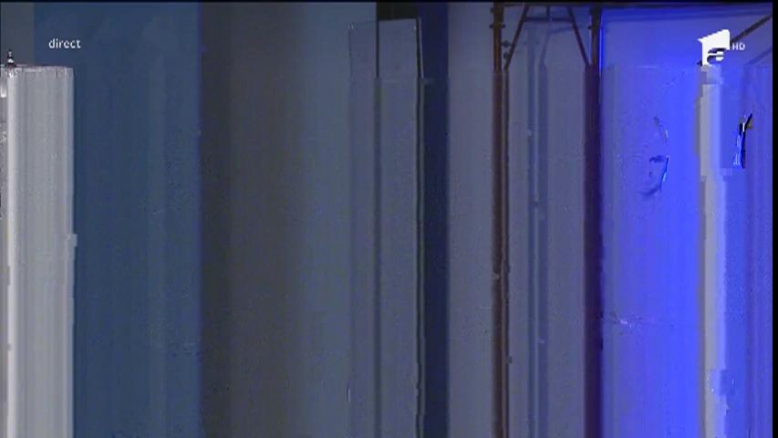 Ne&icirc;nţelegeri &icirc;ntre două cupluri controversate de la Mireasă pentru fiul meu